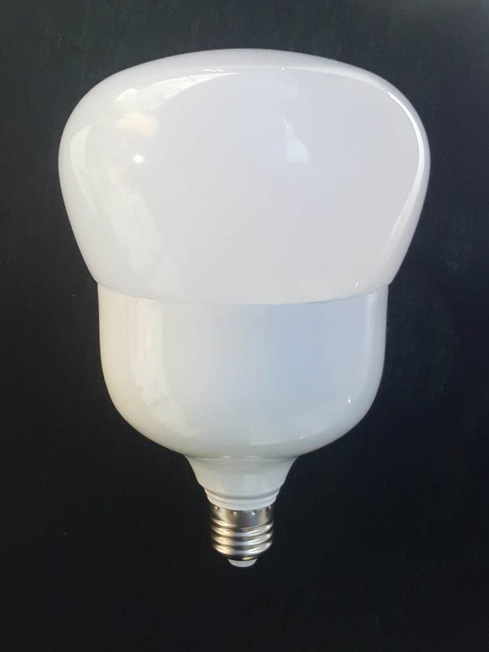 Globe SG/W  MSG/W-25W
