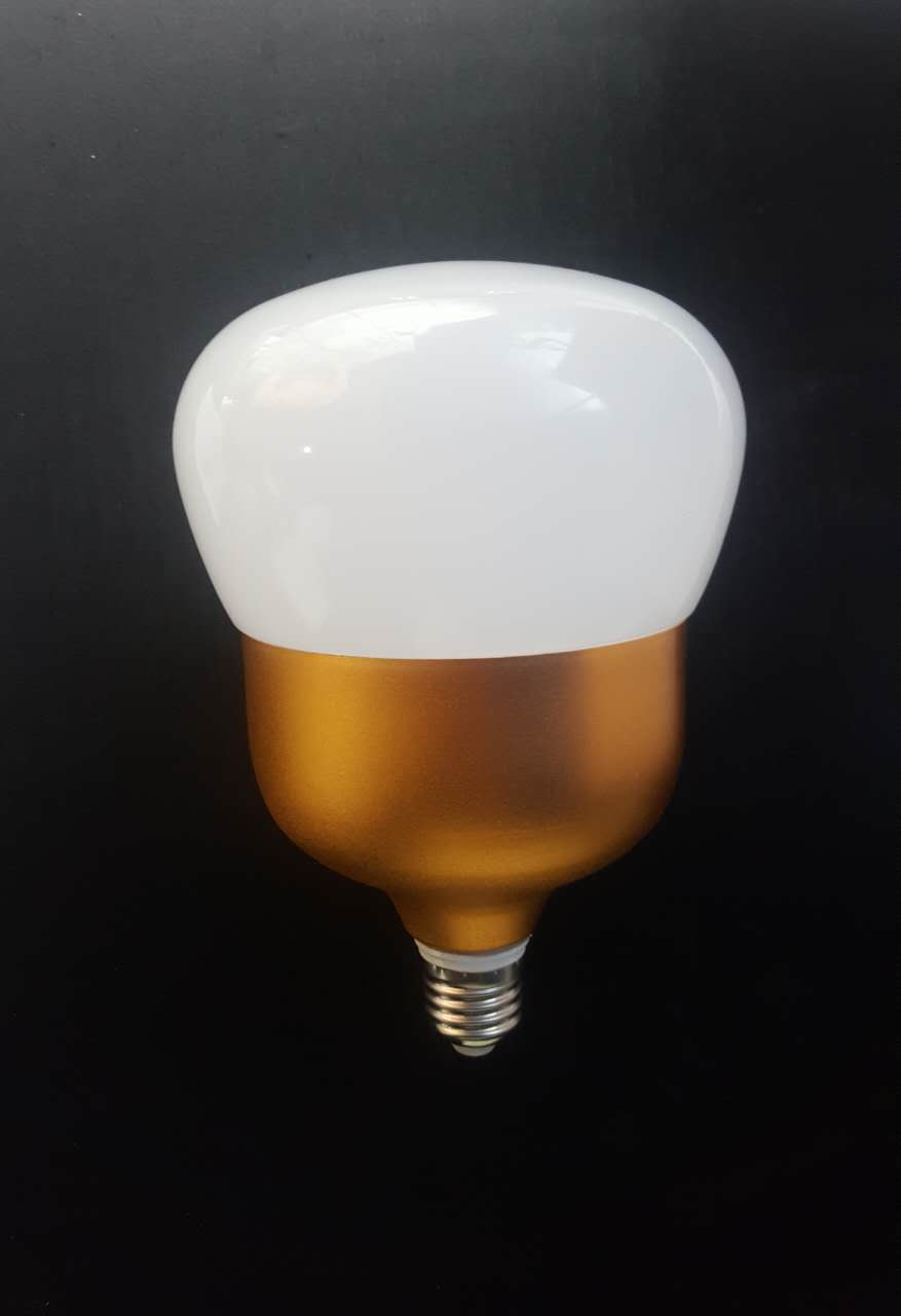 Globe SG/W  MSG/W-20W